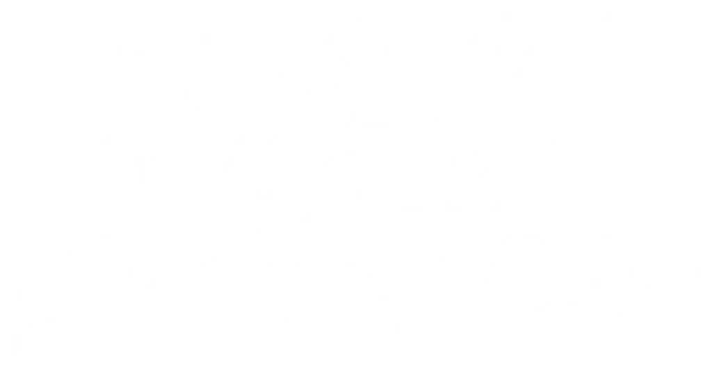 Dylan Studio